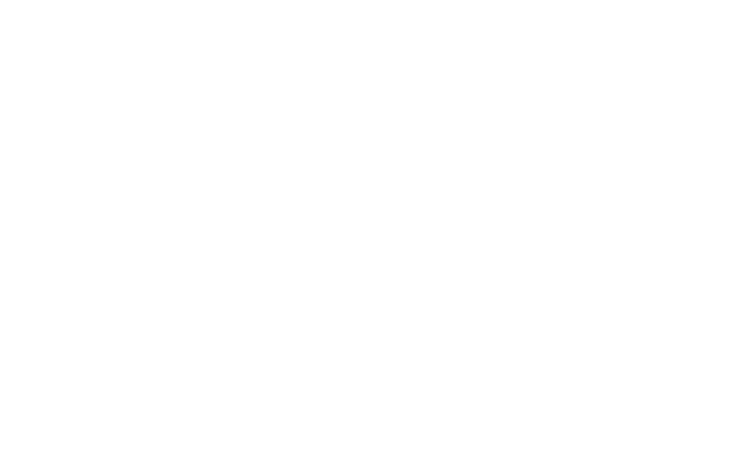 Commitment to Excellence Gold BRS Relocation Services Cartus Global Network Awards 2011