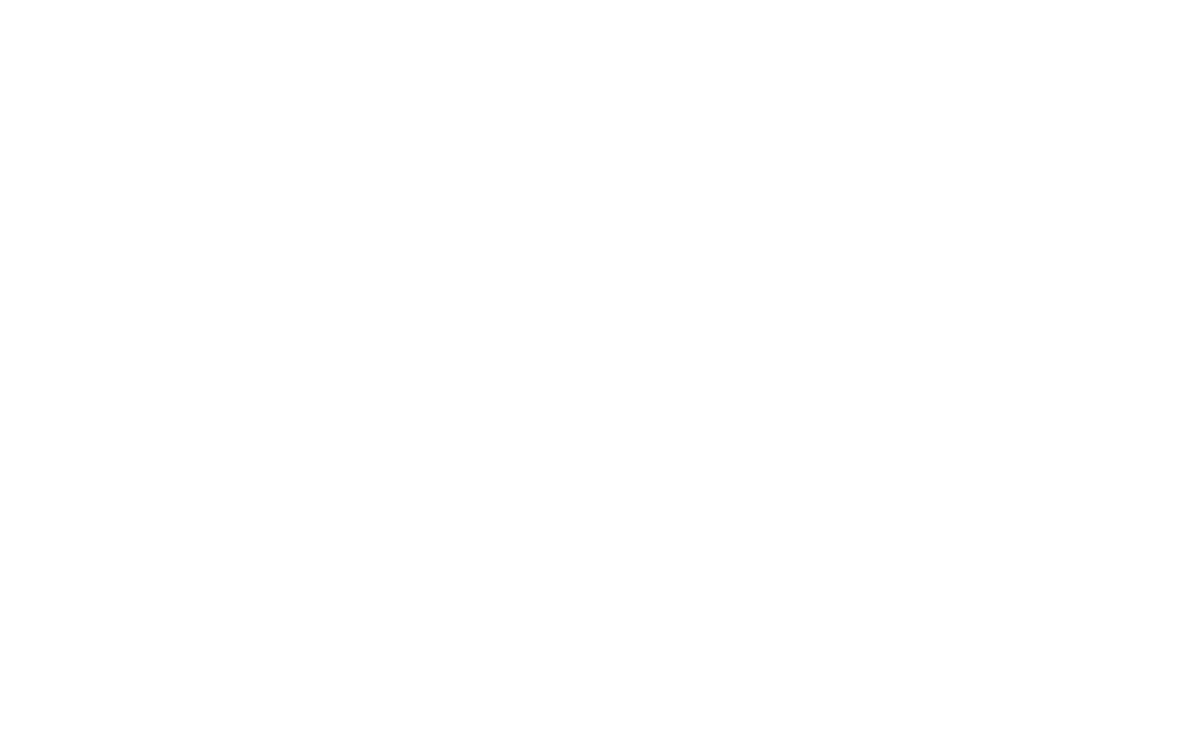 Commitment to Excellence Platinum BRS Relocation Services Cartus Global Network Awards